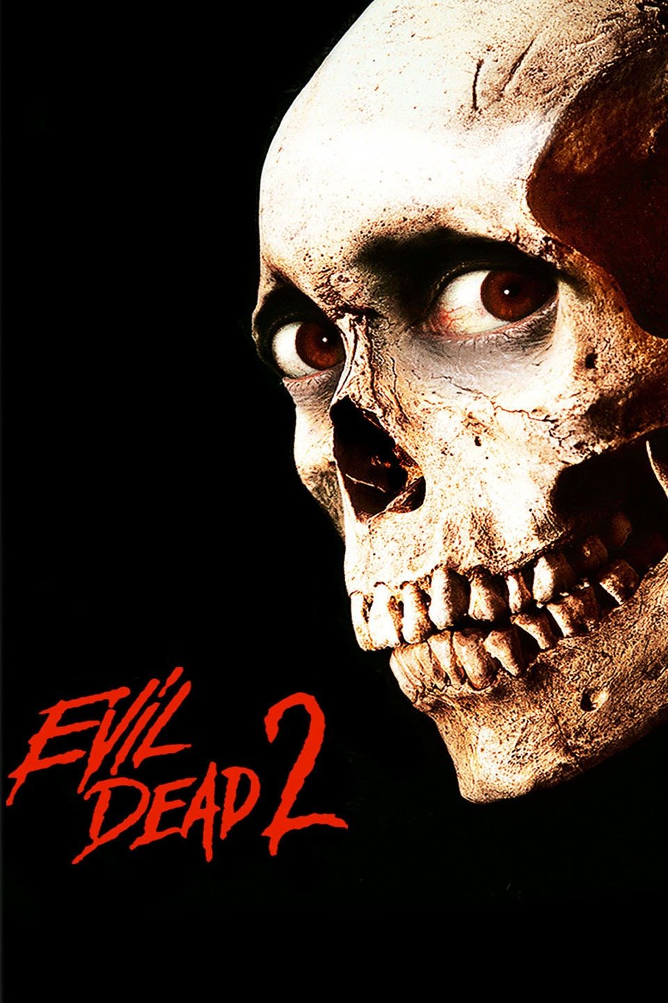 Download The Evil Dead II (1987) {Hindi-English-Tamil-Telugu} 480p | 720p